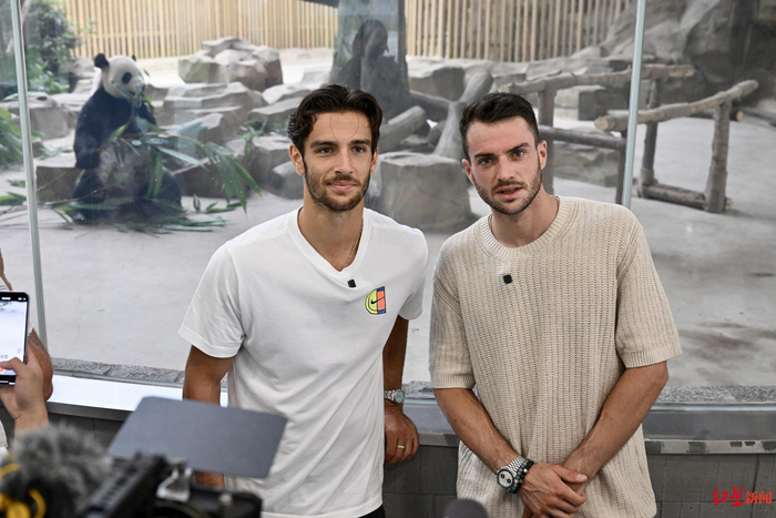 借鉴了许多 借鉴了许多