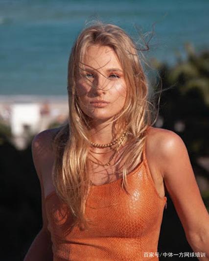 提供参照 提供参照